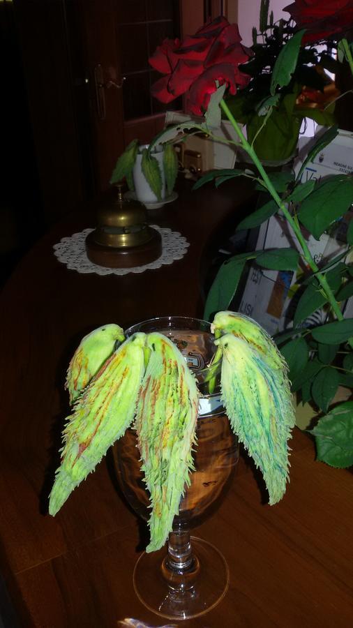 Hotel Levico Levico Terme Zewnętrze zdjęcie